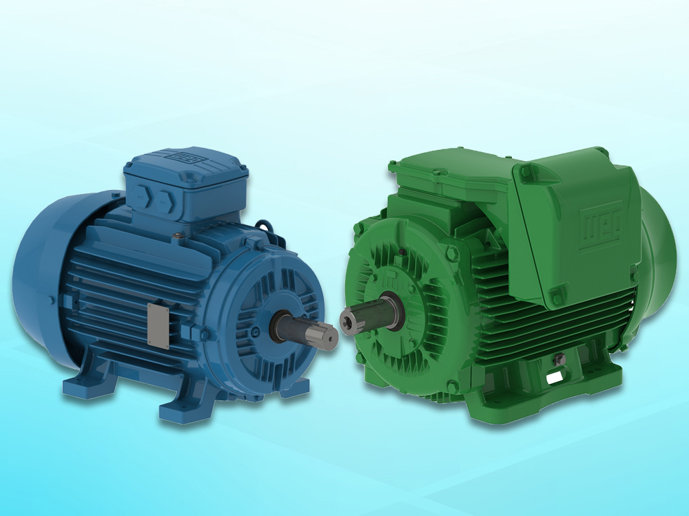 Động cơ điện hạ thế